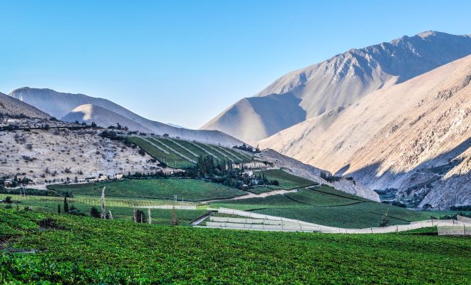 Valle del Elqui